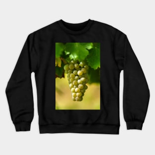 Ripening grapes on the vine Crewneck Sweatshirt